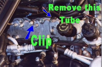 clip
